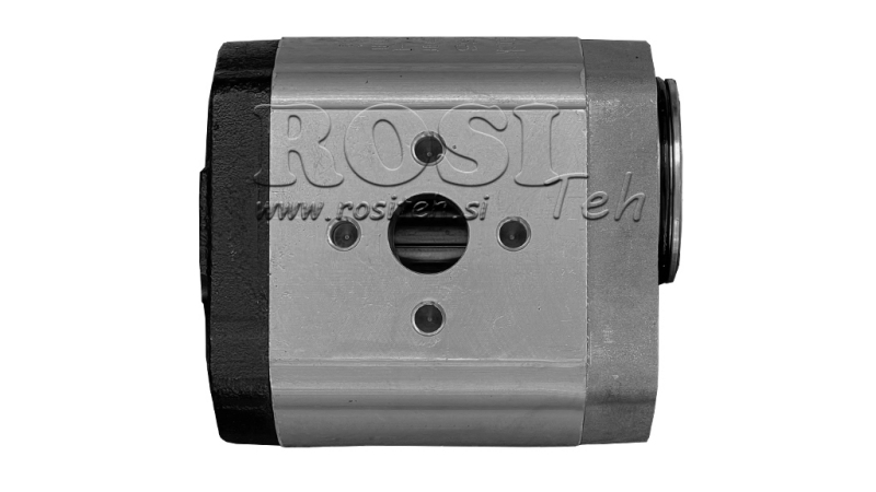 HYDRAULIK PUMPE 20C8,2X066 REAR GR.2 8,2 CC RECHTS