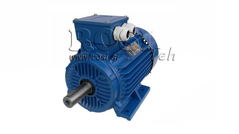 ELECTRIC MOTOR 2P B3 3F legs