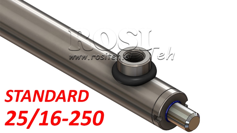 HYDRAULIC CYLINDER STANDARD 25/16-250