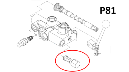 RELIEF VALVE FOR P81