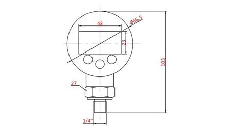 DIGITAL PRESSURE GAUGE DN63 VERTICAL 0 - 600 BAR - 1/4